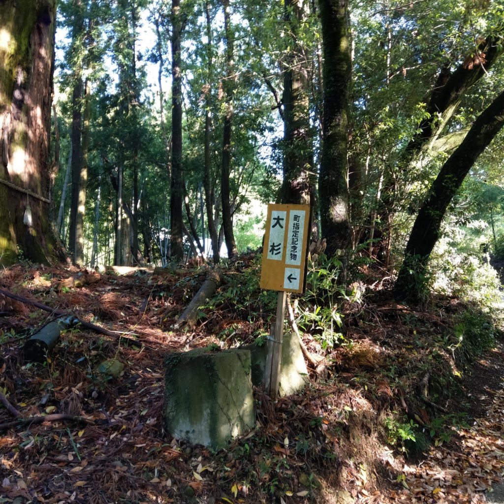 大山寺の遍路道の途中の杉の看板
