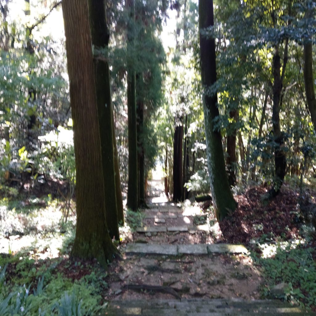 大山寺の境内の階段