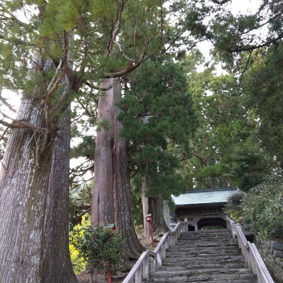 徳島県の遍路宿レビュー 焼山寺宿坊 12番寺 歩きお遍路四国か所 別格霊場巡礼通し打ちの旅 徳島県の遍路宿レビュー 焼山寺宿坊 12番寺 歩きお遍路四国か所 別格霊場巡礼通し打ちの旅