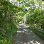 徳島県の遍路宿レビュー「かどや旅館」　13番寺大日寺傍